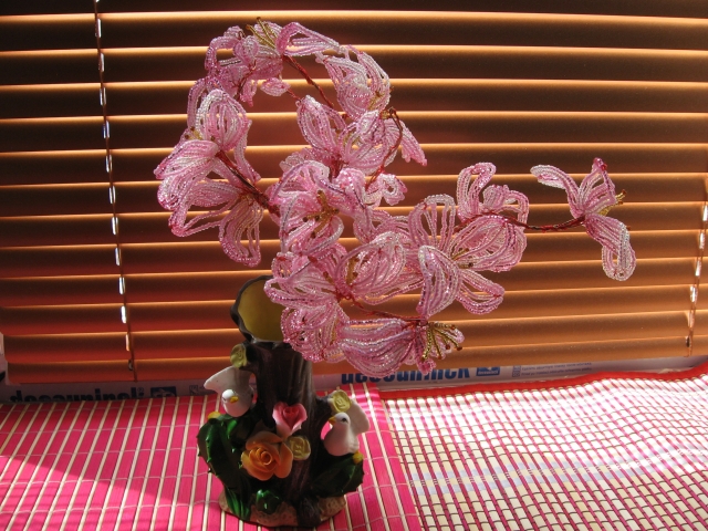 sakura